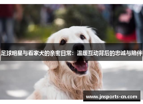 足球明星与看家犬的亲密日常：温暖互动背后的忠诚与陪伴